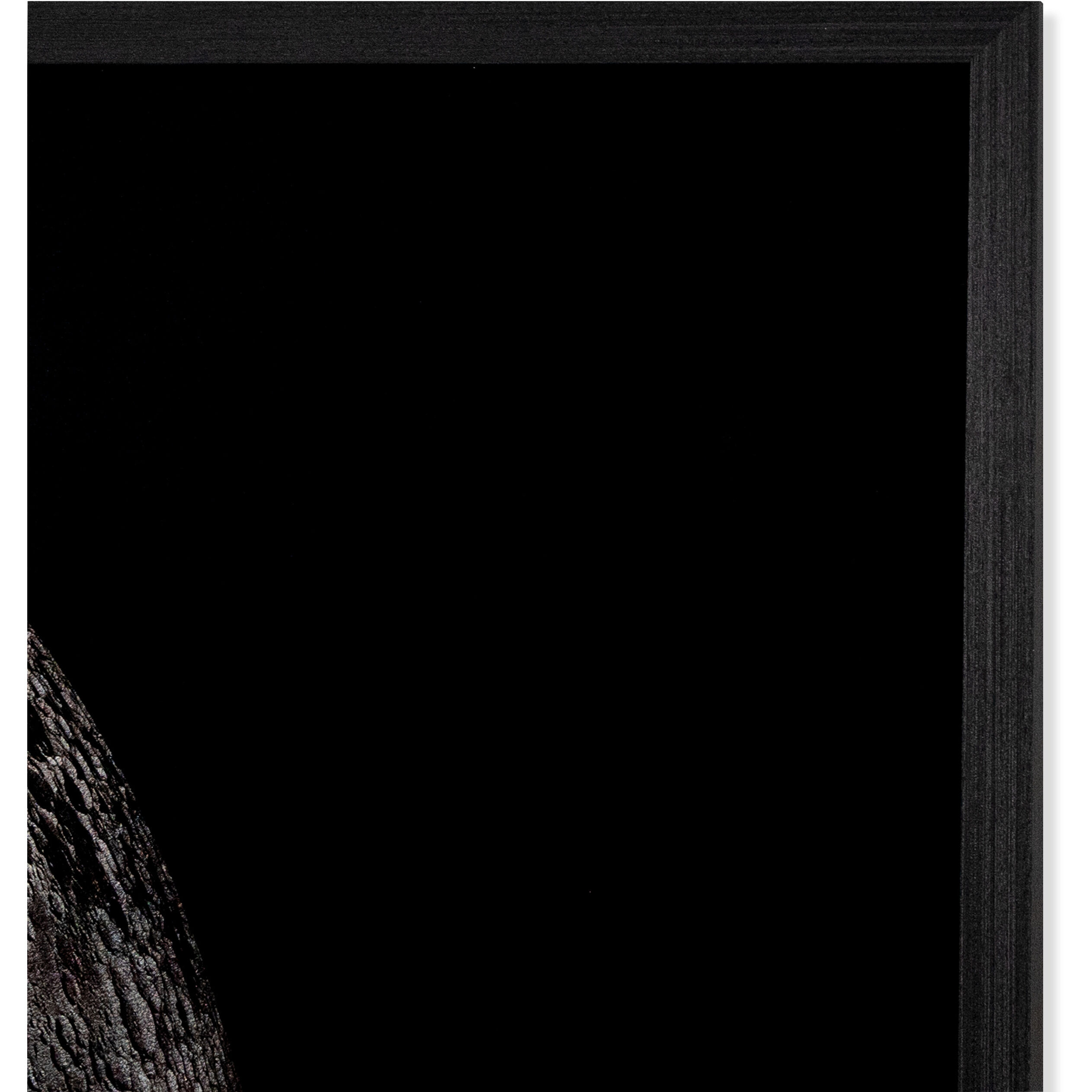 The Moon Charcoal Luxe Art